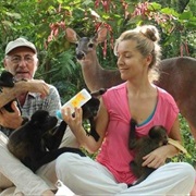 Jaguar Rescue Center, Costa Rica