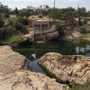 Big Spring State Park, Texas