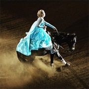 Freestyle Horse Reining