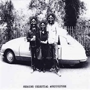 MV / EE / Flower - I Left My Wallet in the Trossachs