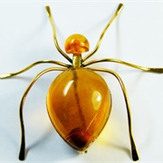 Honey Amber Ant
