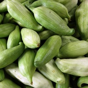 Kaywa / Slipper Gourd (Cyclanthera Pedata)