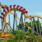 Jaguar (Isla Magica)