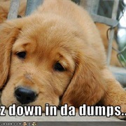 Down in the Dumps