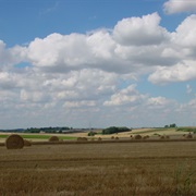Gallopping on a Open Field