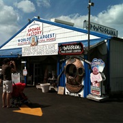 Spongeorama Sponge Factory