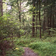 Cathedral State Park, West Virginia