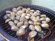 Grilled Clams