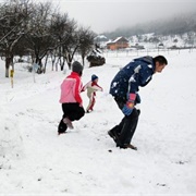 Play in the Snow