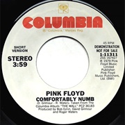 Comfortably Numb - Pink Floyd