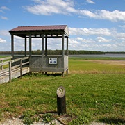 Lower Hatchie National Wildlife Refuge