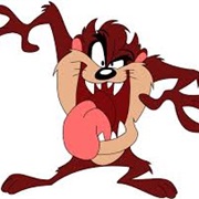 Tasmanian Devil