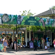 London Zoo