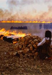 Passage (Shirin Neshat)