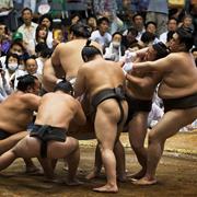 Attend a Sumo Bout