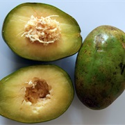 June Plum (Spondias Dulcis)