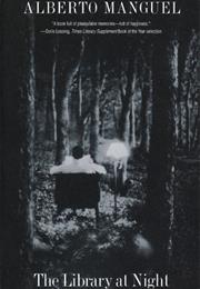 The Library at Night