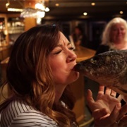 Get Screeched In, Newfoundland