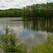 Northwood Meadows State Park, New Hampshire