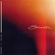 Señorita - Shawn Mendes & Camila Cabello