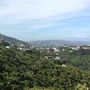 City to Sea Walkway Wellington