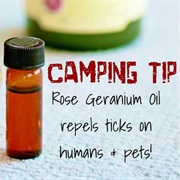 Essential Oils to Repel Mosquitoes and Ticks