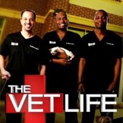 The Vet Life