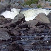 Sturgeon River Provincial Park