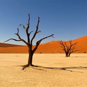 Kalahari Desert, Botswana/Namibia