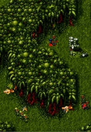 Cannon Fodder (1993)