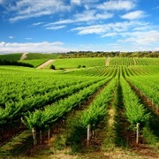 Clare Valley - Australia