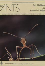 The Ants by Bert Holldobler and Edward O. Wilson