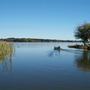 Lake Griffin State Park, Florida