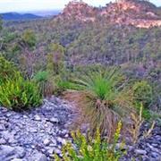 Isla Gorge National Park (QLD)