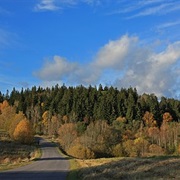 Estonia: Suur Munamägi (1,043 Ft)