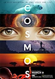 Cosmos (2014)