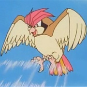 Pidgeotto