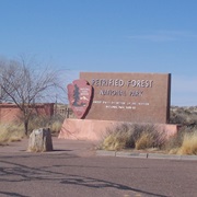 Petrified Forest National Park