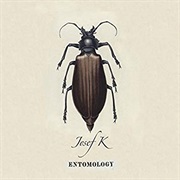 Josef K Entomology