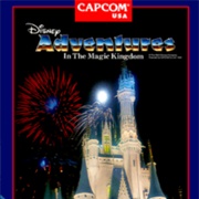 Adventures in the Magic Kingdom