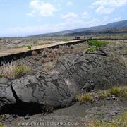 Puako Petroglyphs