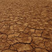 Drought