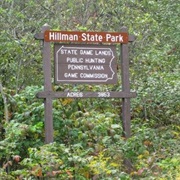 Hillman State Park, Pennsylvania