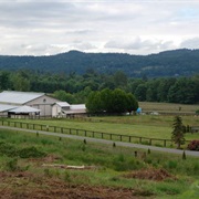 Bunk Foss, Washington