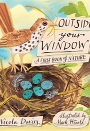 Outside Your Window (-)