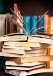 Ett Så Starkt Ljus (Lyra Ekström Lindbäck)