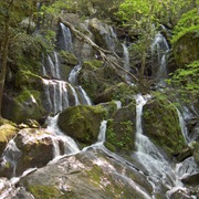 Place of a Thousand Drips, Roaring Forks Motor Nature Trail, Tennessee
