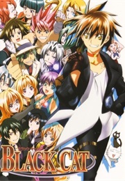 Black Cat (2005)
