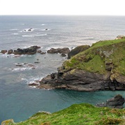 Lizard Point