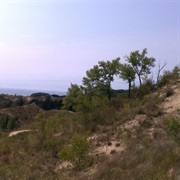 Saugatuck Dune Rides